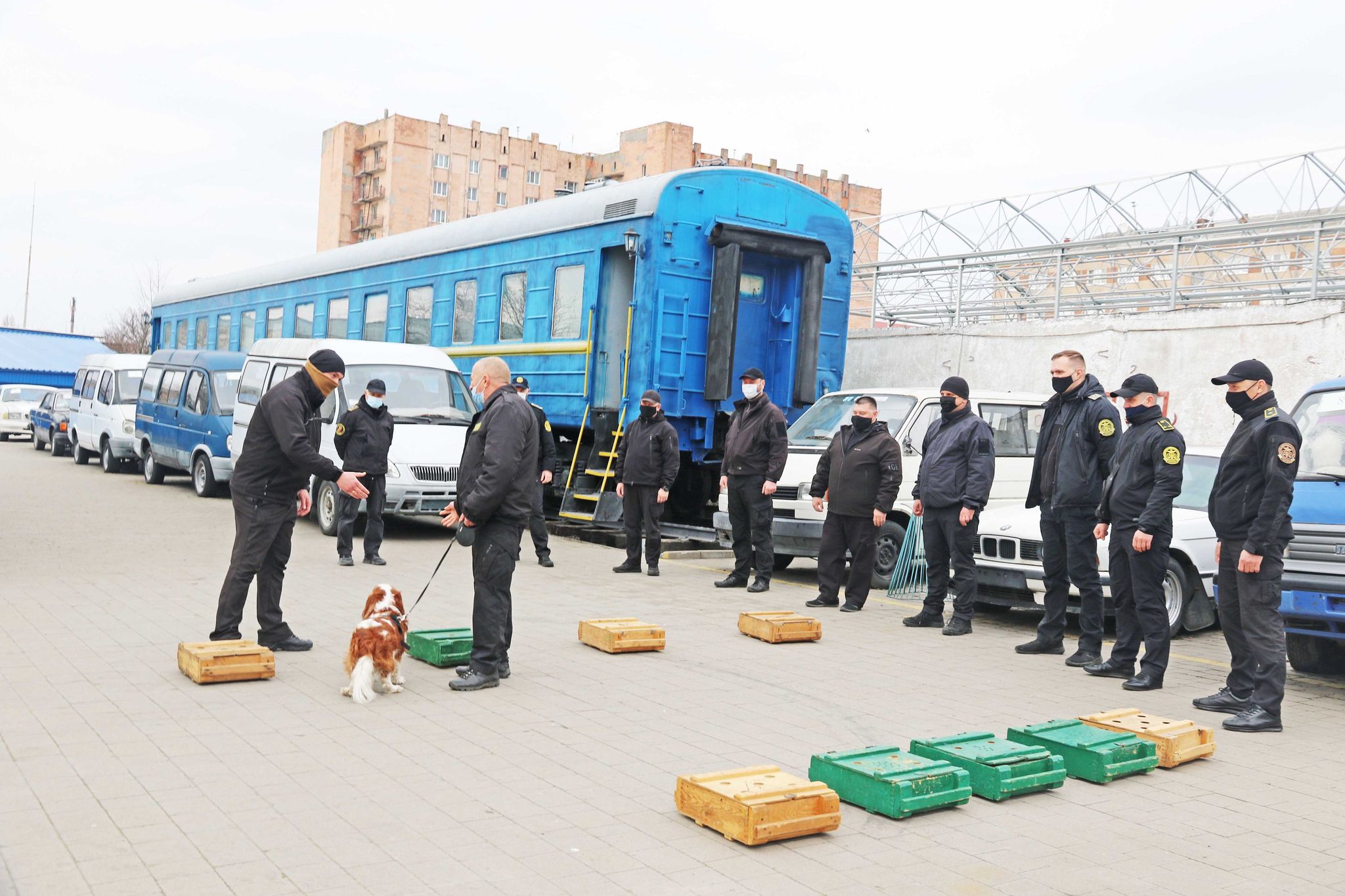You are currently viewing Training of Canine Teams of the State Customs Service has Started