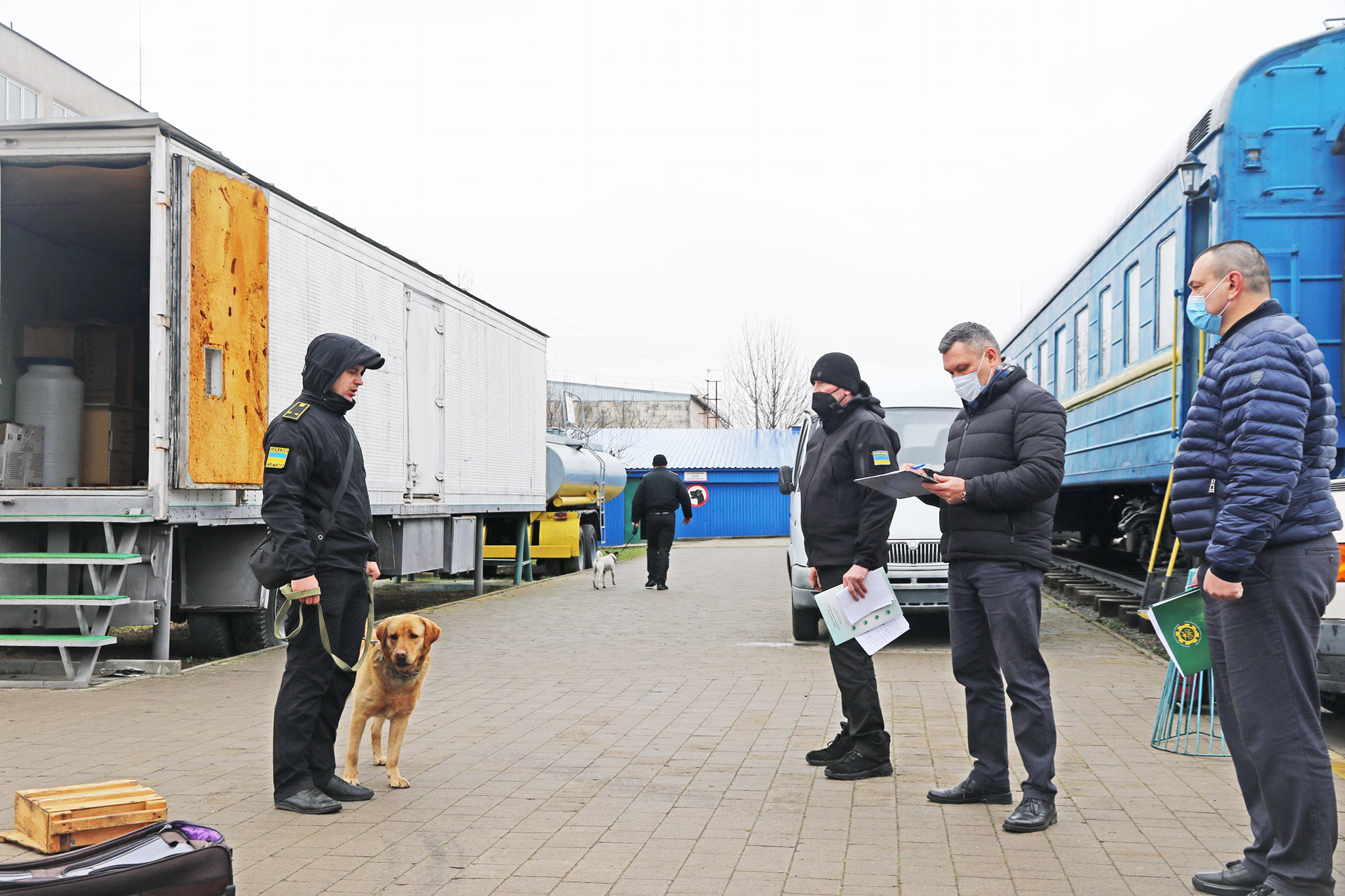 You are currently viewing Training of Canine Teams of the State Customs Service has been Completed