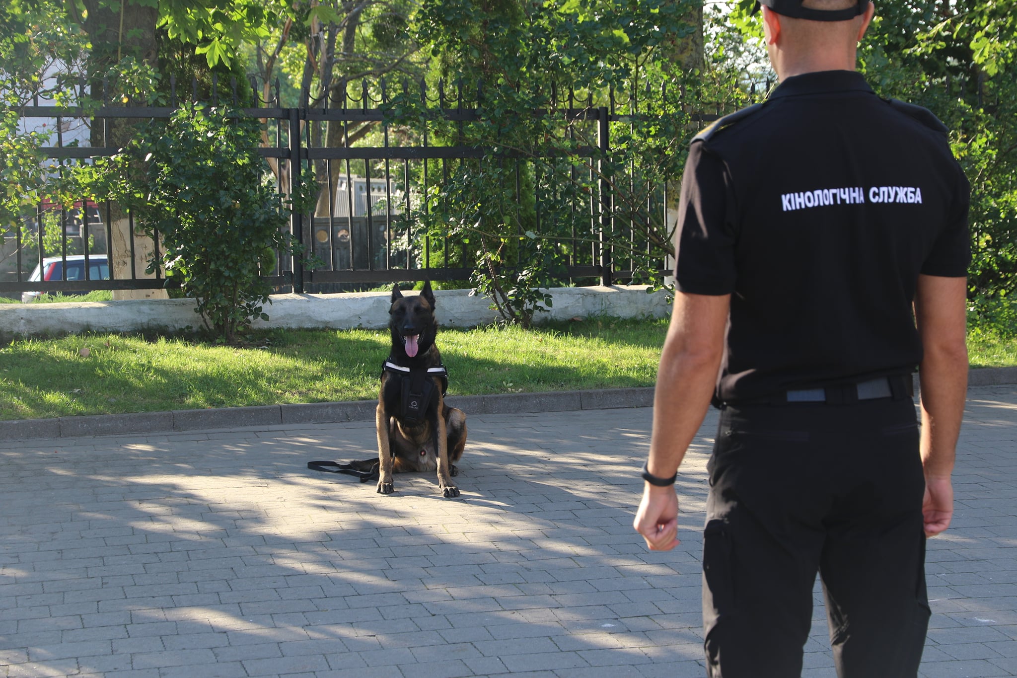 You are currently viewing ANOTHER GROUP OF CUSTOMS CANINE TEAMS HAS COMPLETED TRAINING