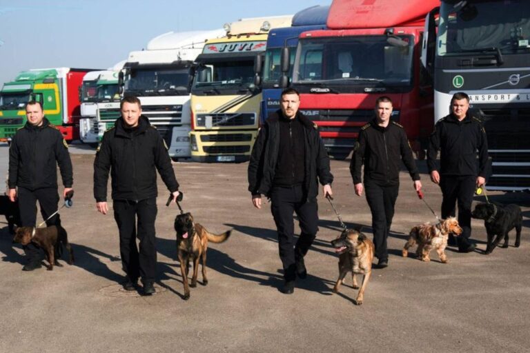 Read more about the article The 1st stage of the Сustoms canine teams competition was held