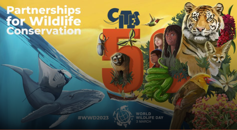 Read more about the article 50th anniversary of the Convention on International Trade in Endangered Species of Wild Fauna and Flora (CITES)