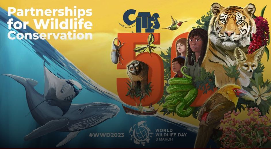 You are currently viewing 50th anniversary of the Convention on International Trade in Endangered Species of Wild Fauna and Flora (CITES)