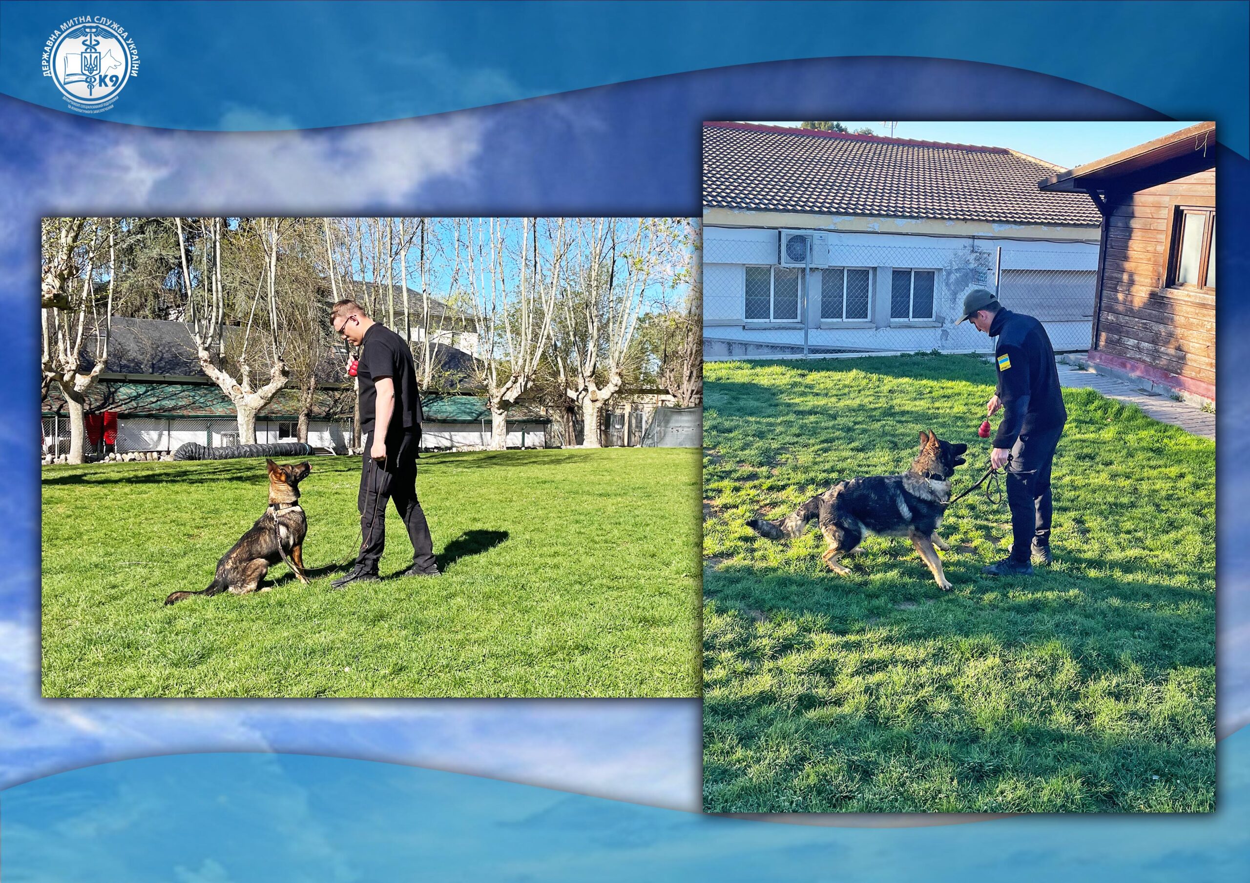 You are currently viewing Weekdays of canine experts of the State Customs Service in Spain: service dogs Rita and Sina’s first steps in search work